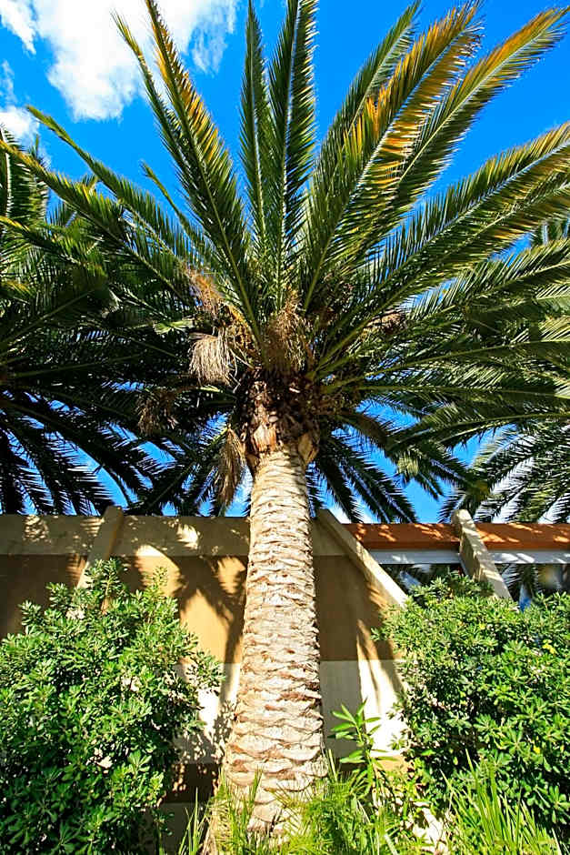 Logis NIMOTEL Hôtel Cosy