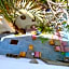 Ocean Life Dahab