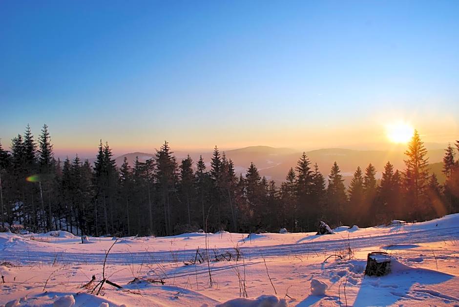 Boutiquehotel Liebesglück - adults only