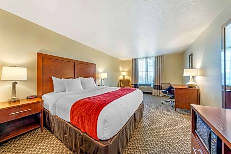 Accessible Queen Room with Accessible Tub - Non Smoking