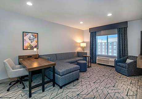 One-Bedroom King Suite with Sofa Bed