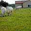 Chambre D'hôtes La Basse Gougeonnière