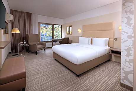 King Guest Room