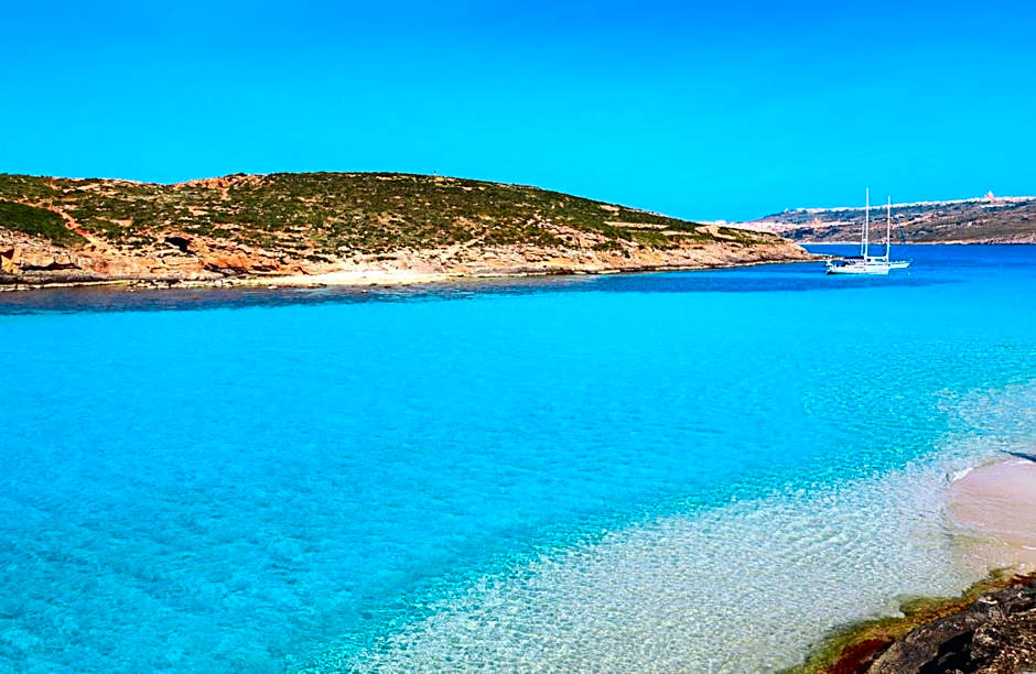 La Fenice by Giancarlo