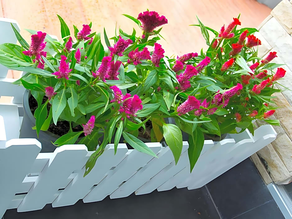 The Centrino Serviced Residence