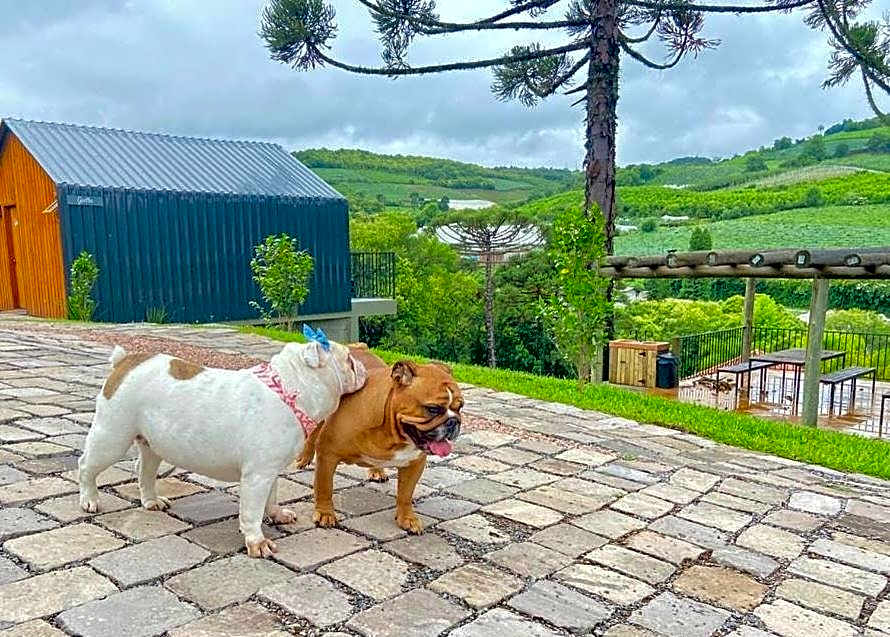 Cappio Pousada e Lazer