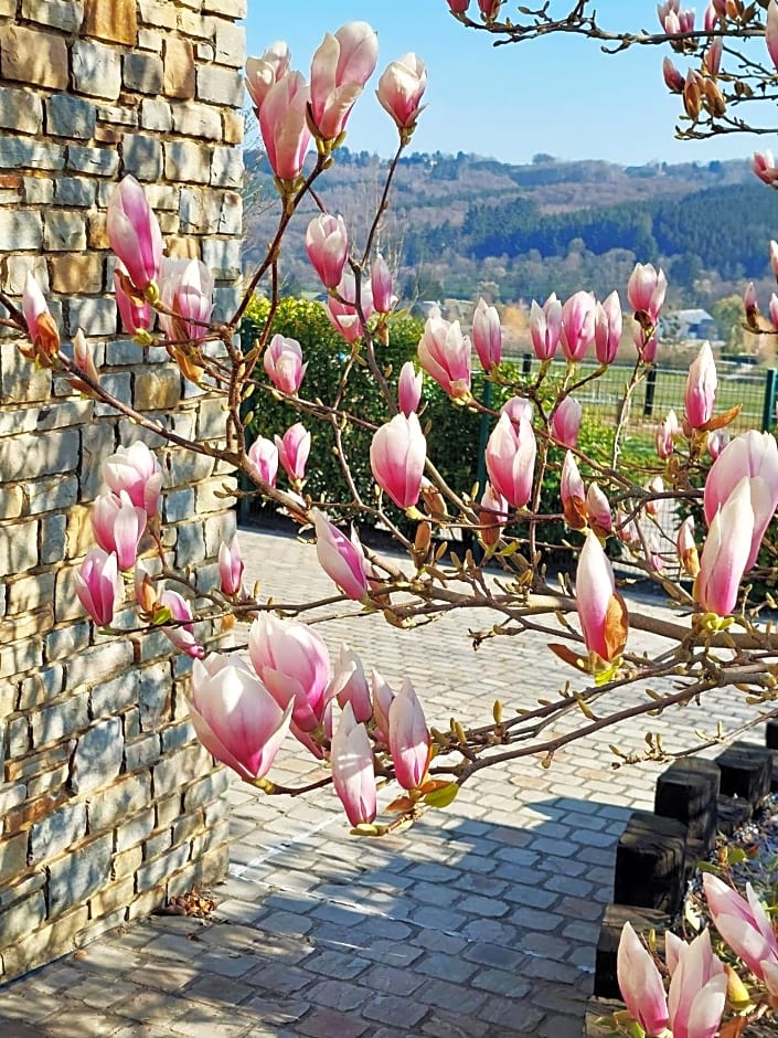 Cha Cha de Loup Luxe B&B - Vakantiewoning