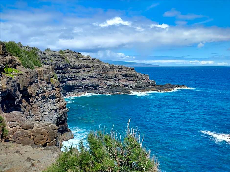 Hale Mai Hopohopo