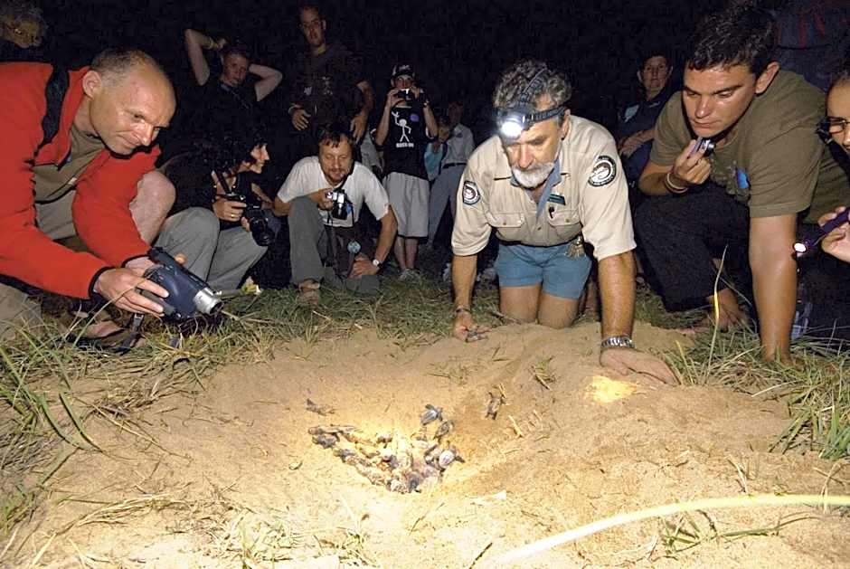 Koola Beach Apartments Bargara