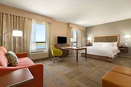 King Studio Suite with Water View - Non-Smoking