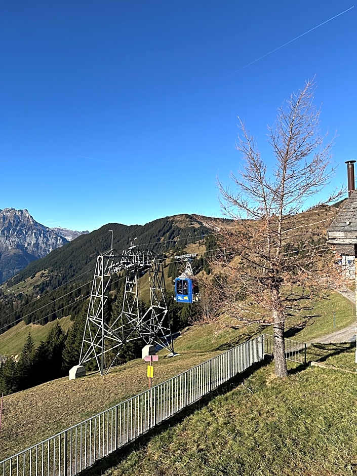 Alphotel Biel-Kinzig - Access by Cable Car only!