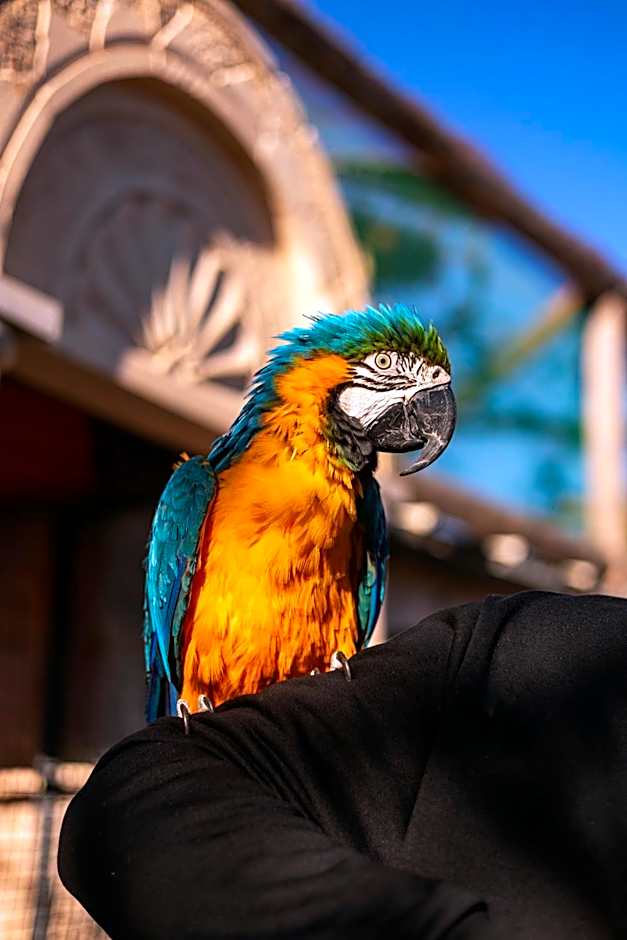 AJWA Cappadocia - Preferred Hotels Legend Collection