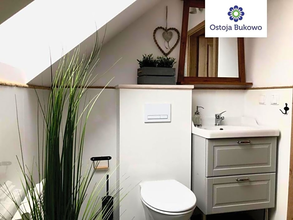 Domek z basenem nad jeziorem Gwiazdy, Ostoja Bukowo, Kaszuby