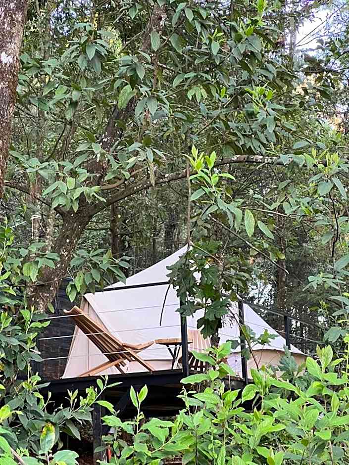 Hotel Oxú Solo adultos