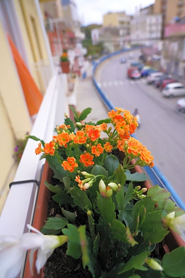 B&B Nodo Francescano