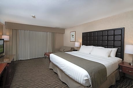 King Room with Sofa Bed