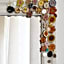 Le Bassotte b&b