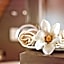 Historisches Gasthaus Hotel Hirschen Horn