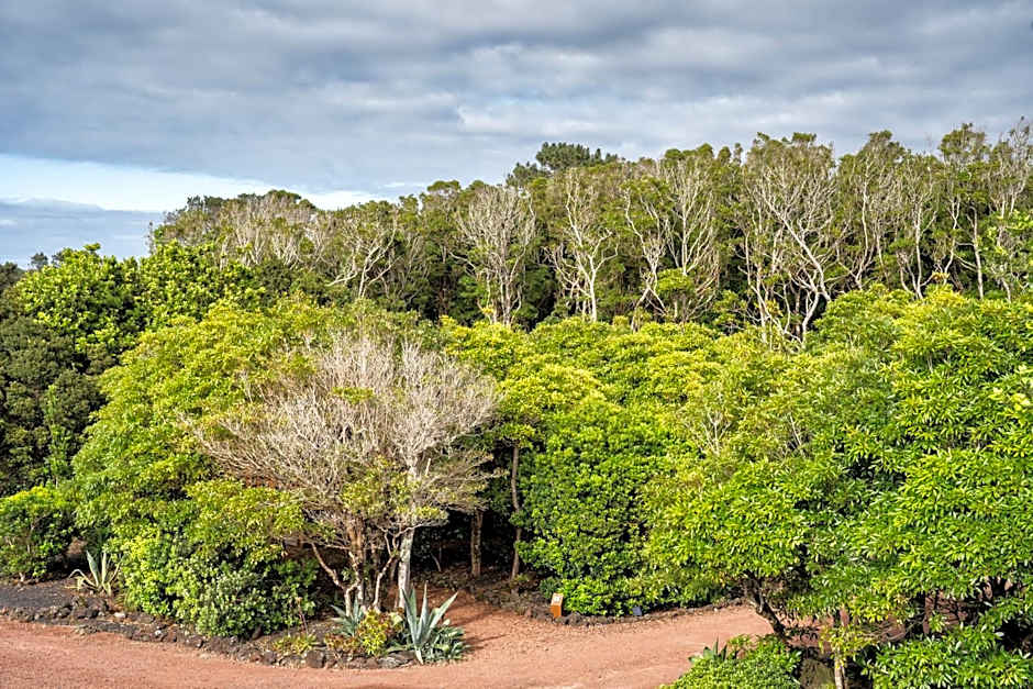 Alma do Pico - Nature Residence