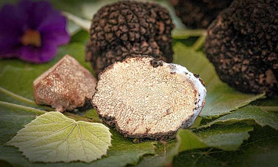 Hotel e trattoria San Giorgio