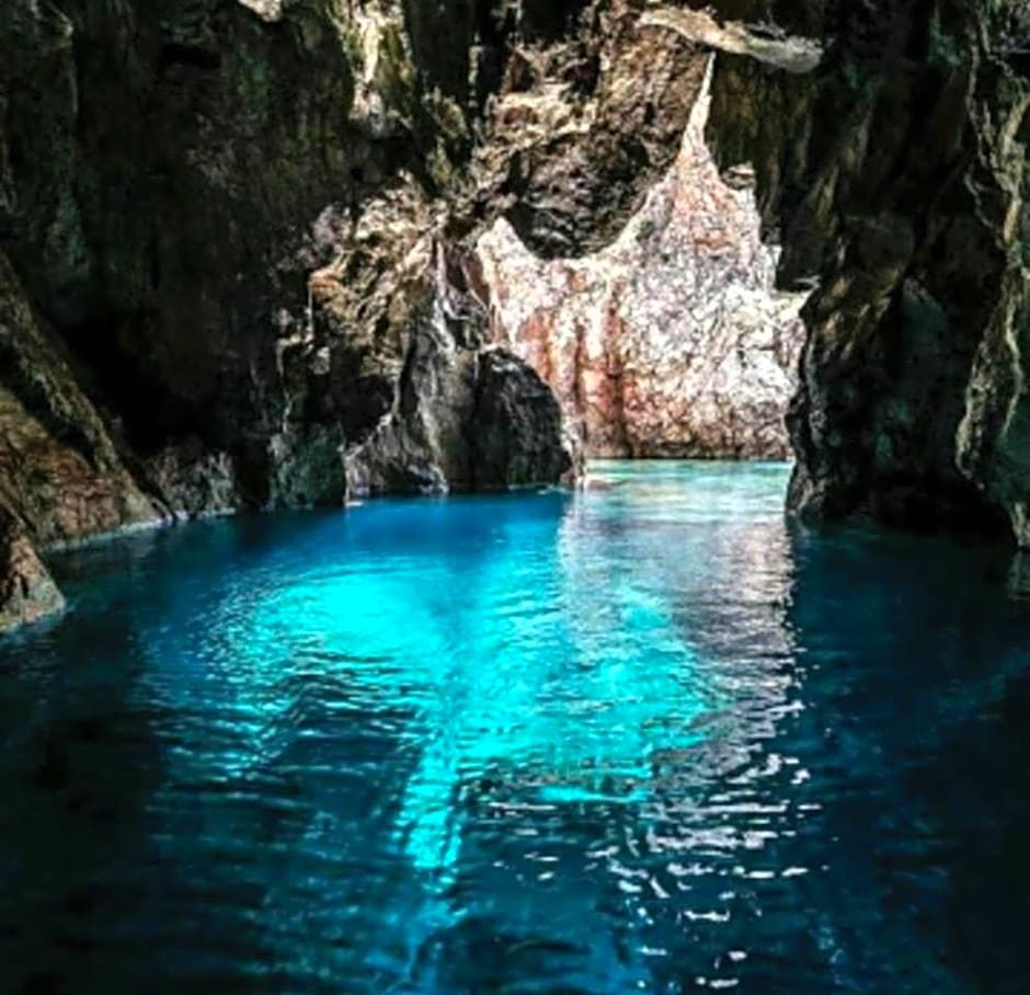 B&B Il Rifugio del Lupo - E6721