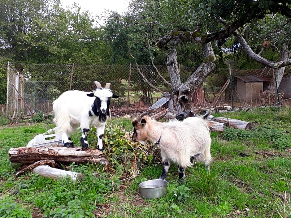 Les Vergers de Cussy