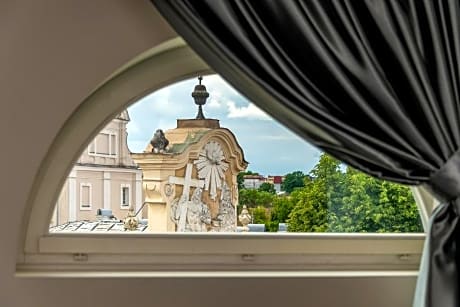 Junior suite (for single use)