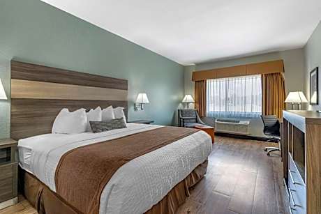 King Suite with Roll-In Shower - Disability Access/Non-Smoking