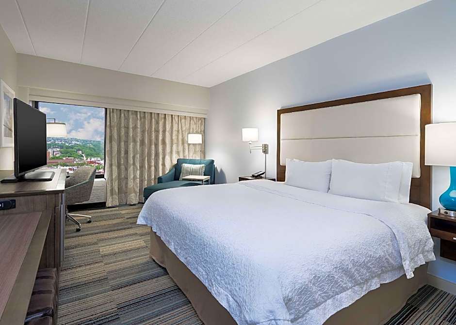 Hampton Inn By Hilton Pittsburgh-University Center
