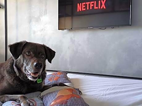 Standard Twin Room with Sofa