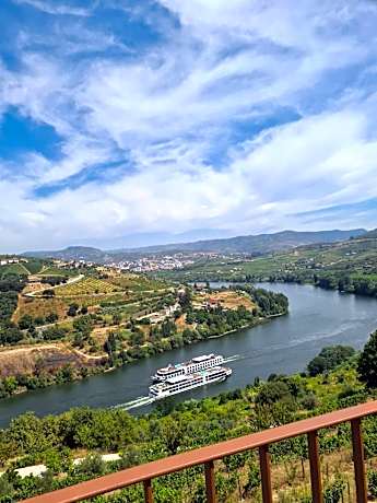Delfim Douro Hotel