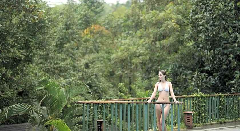 Wayanad Silver Woods Hotel