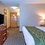 Comfort Inn Charlotte