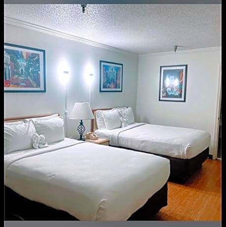 Superior 2 Double Beds Non Smoking