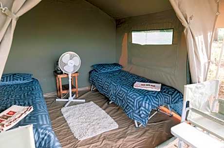 Basic Tent