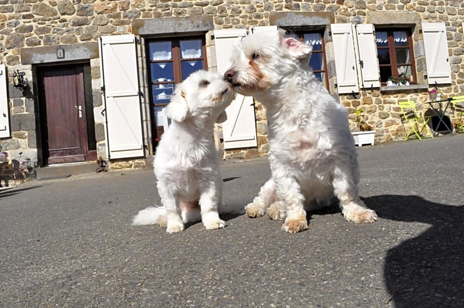 main