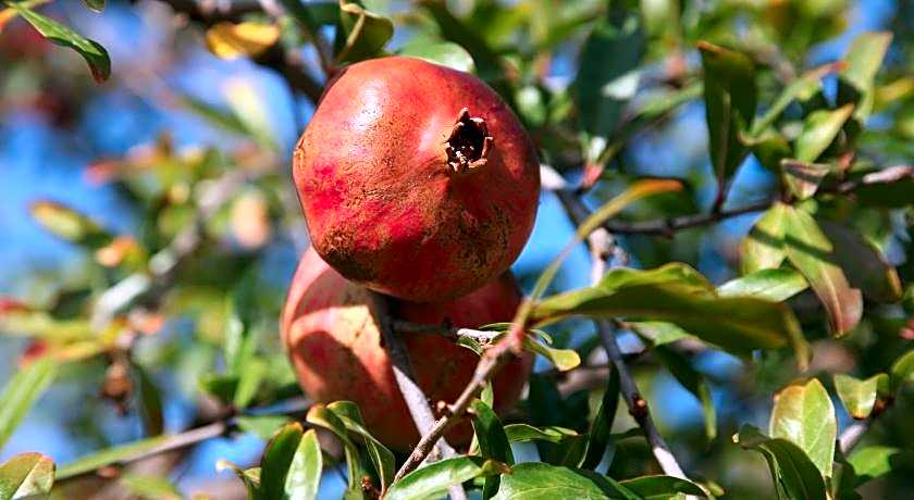 Elounda Solfez Villas