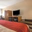 Comfort Inn Latham - Albany North