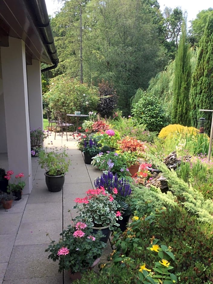 Dwynant - A Room with a View