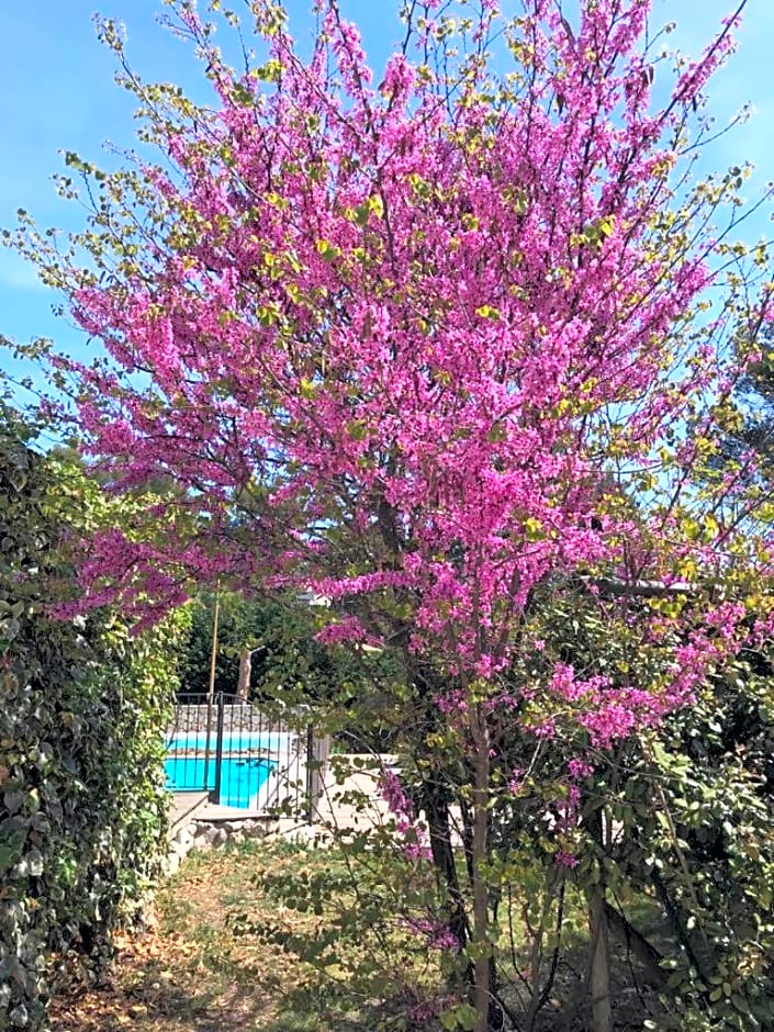 Bulle de tendresse en Provence - Parking Piscine & Jaccuzzi - Peypin