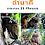 โรงแรมเรือนไทย 2 บึงโขงหลง