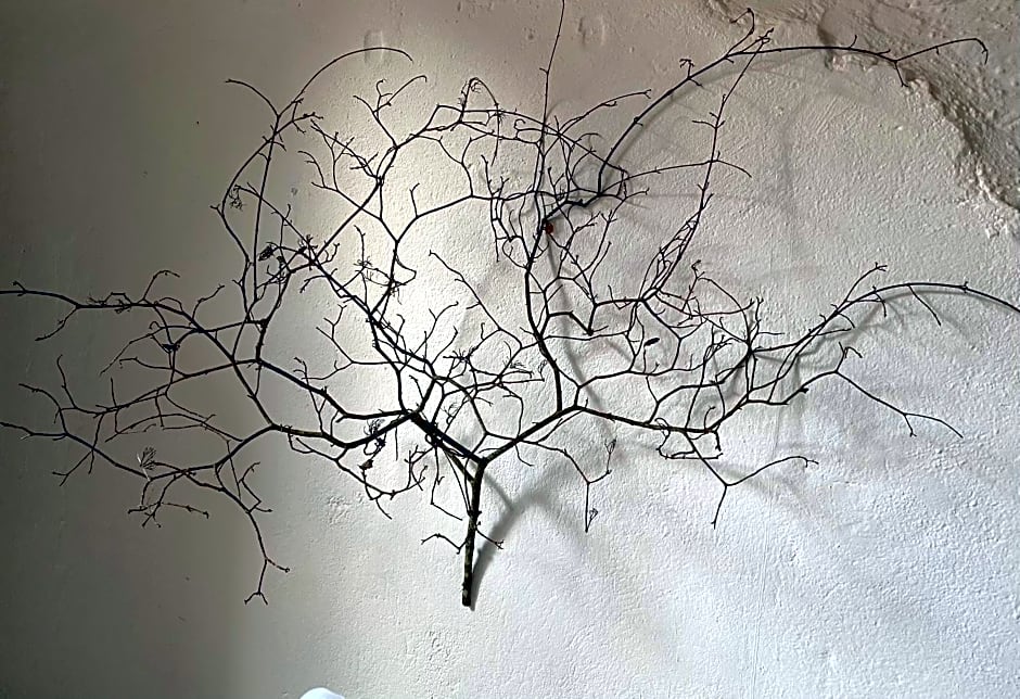 La maison sur la place