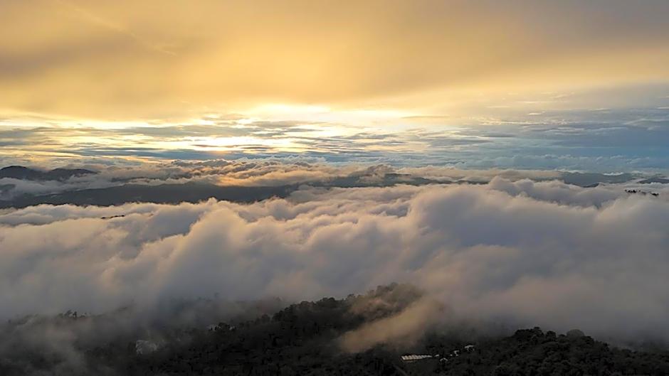 Cozy Homey ¿¿¿¿¿¿¿¿