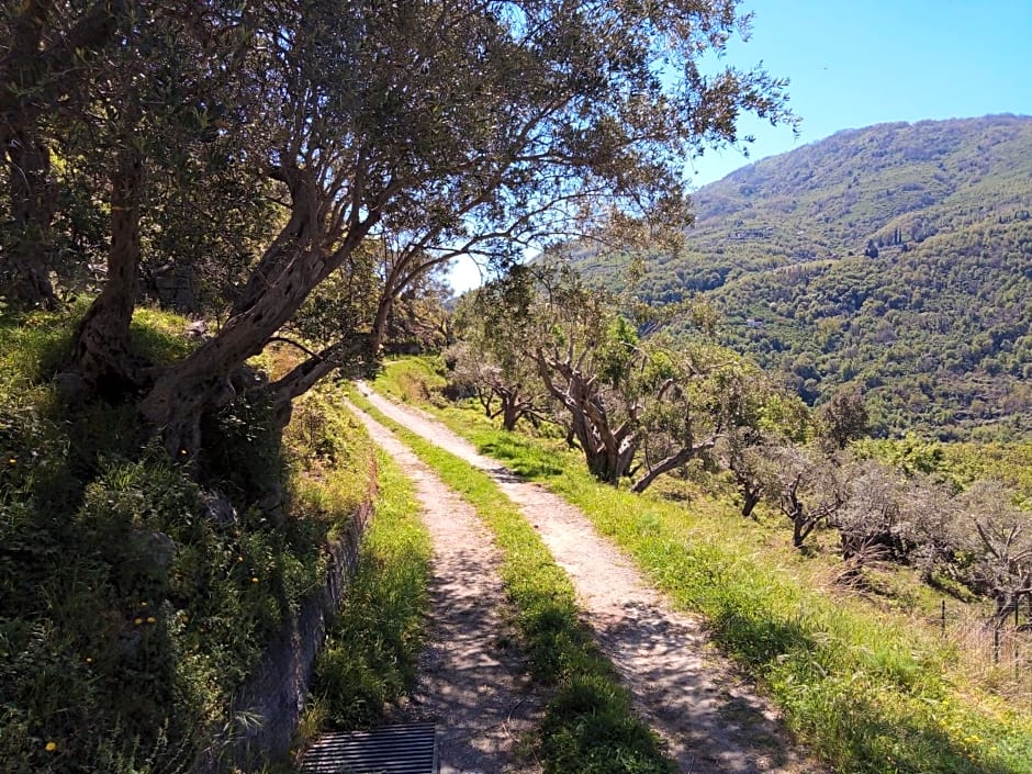 L'Antica Quercia B&B