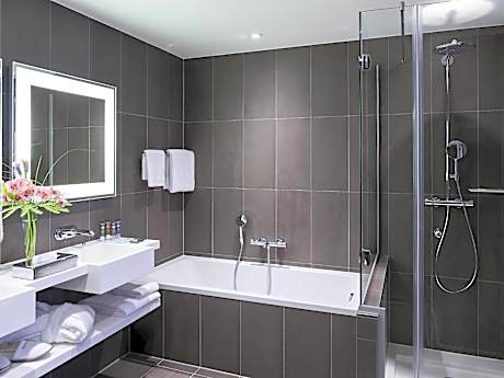 Superior Queen Suite with Sofa Bed