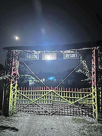 Falcon Jungle Resort