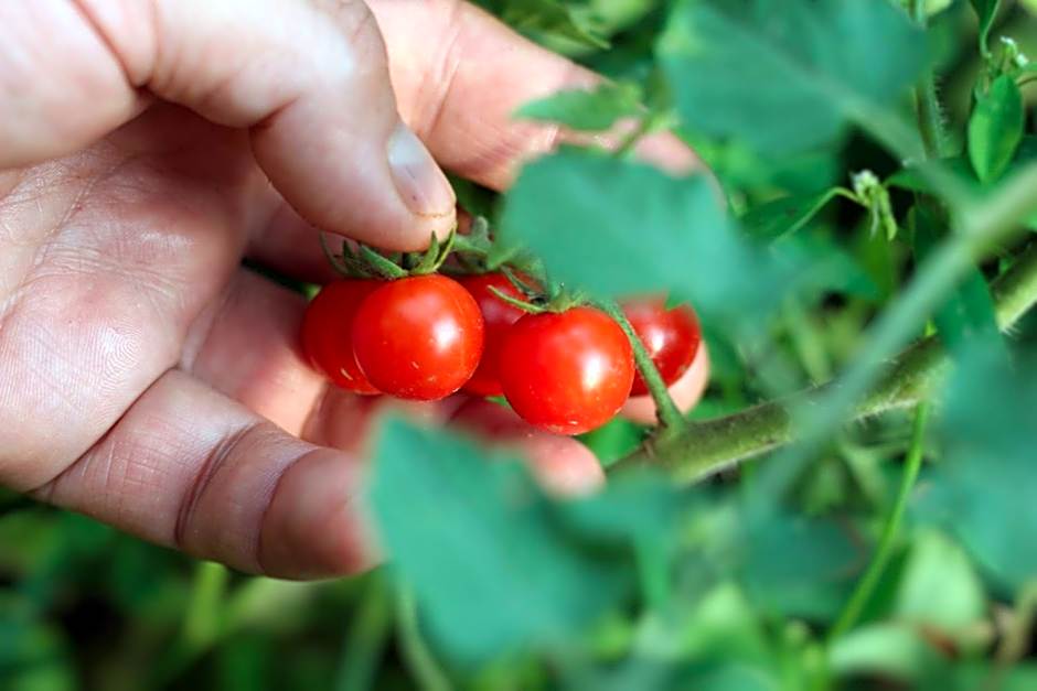Valle Místico Hotel Boutique