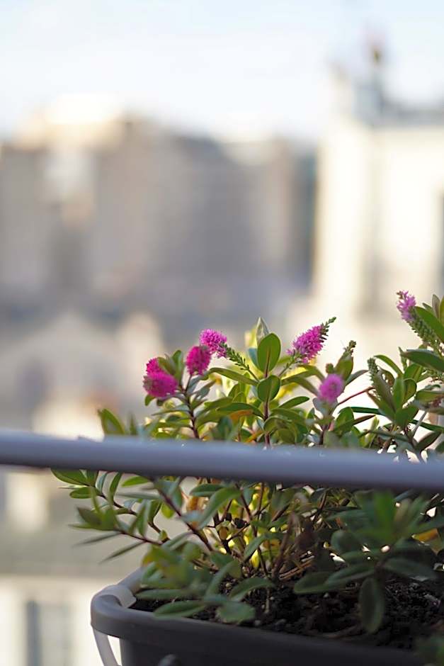 Hotel Le Montmartre Saint Pierre