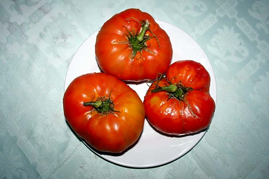 Hotel Rural La Enoteca del Marques