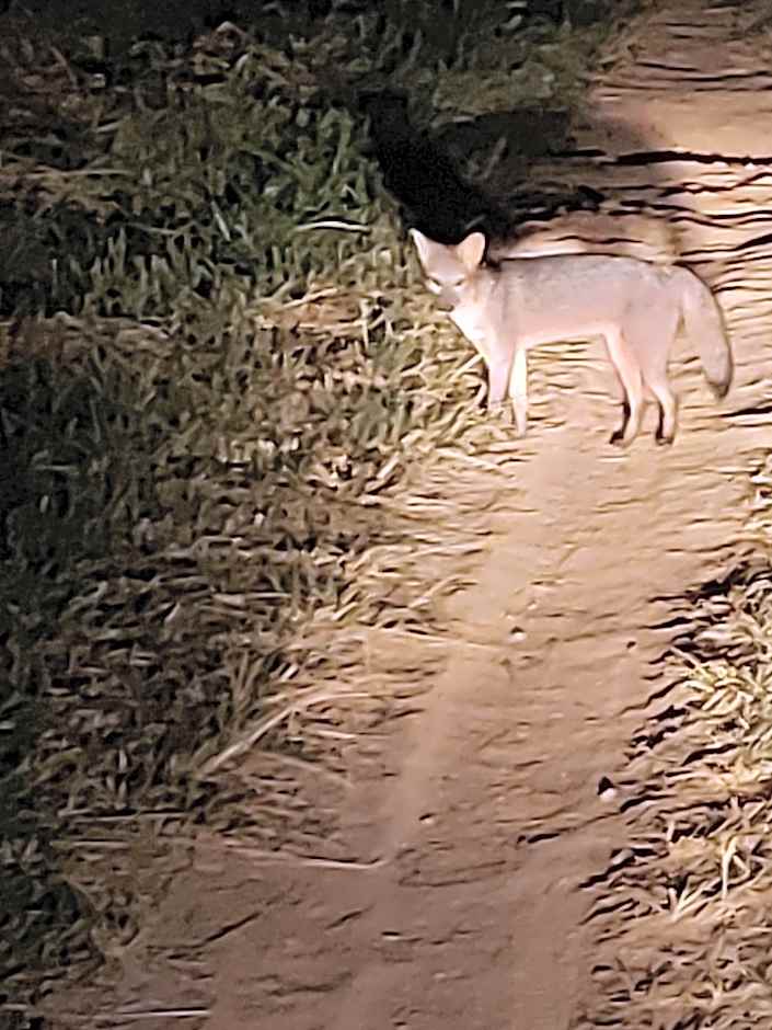 Pousada e Pesque e Pague Vista Alegre